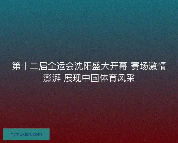 第十二届全运会沈阳盛大开幕 赛场激情澎湃 展现中国体育风采