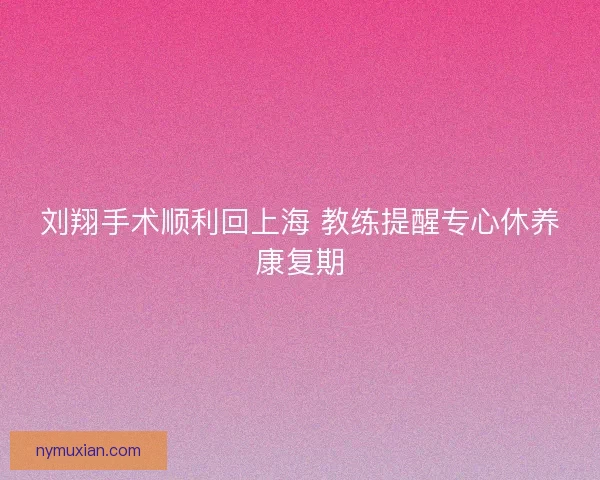 刘翔手术顺利回上海 教练提醒专心休养康复期