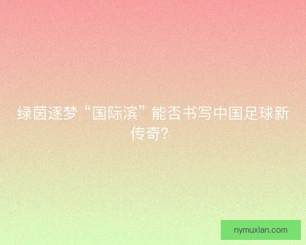 绿茵逐梦 “国际滨” 能否书写中国足球新传奇？