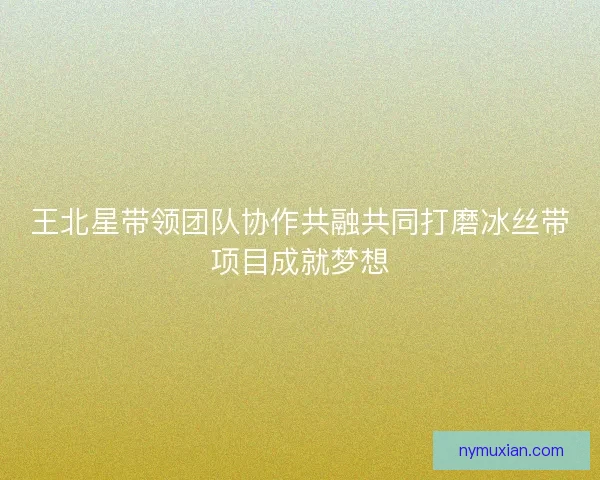 王北星带领团队协作共融共同打磨冰丝带项目成就梦想